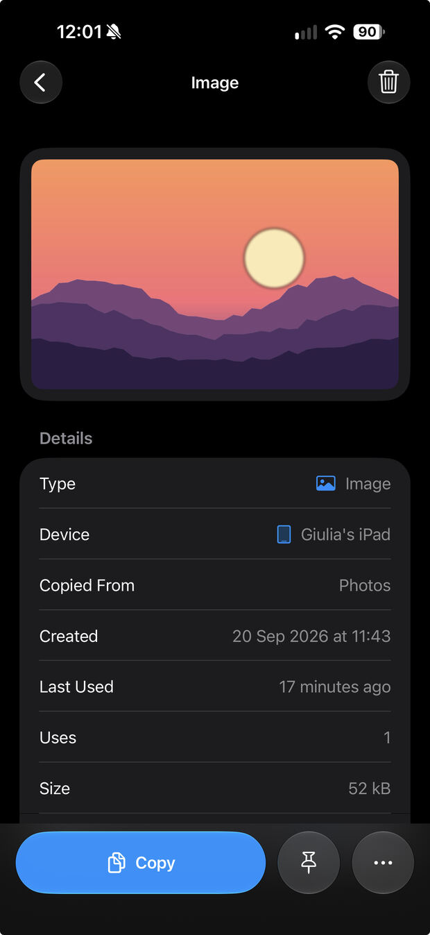 Dettaglio di un'immagine copiata su iPhone.